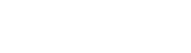 Логотип компанії IWERKE білого кольору